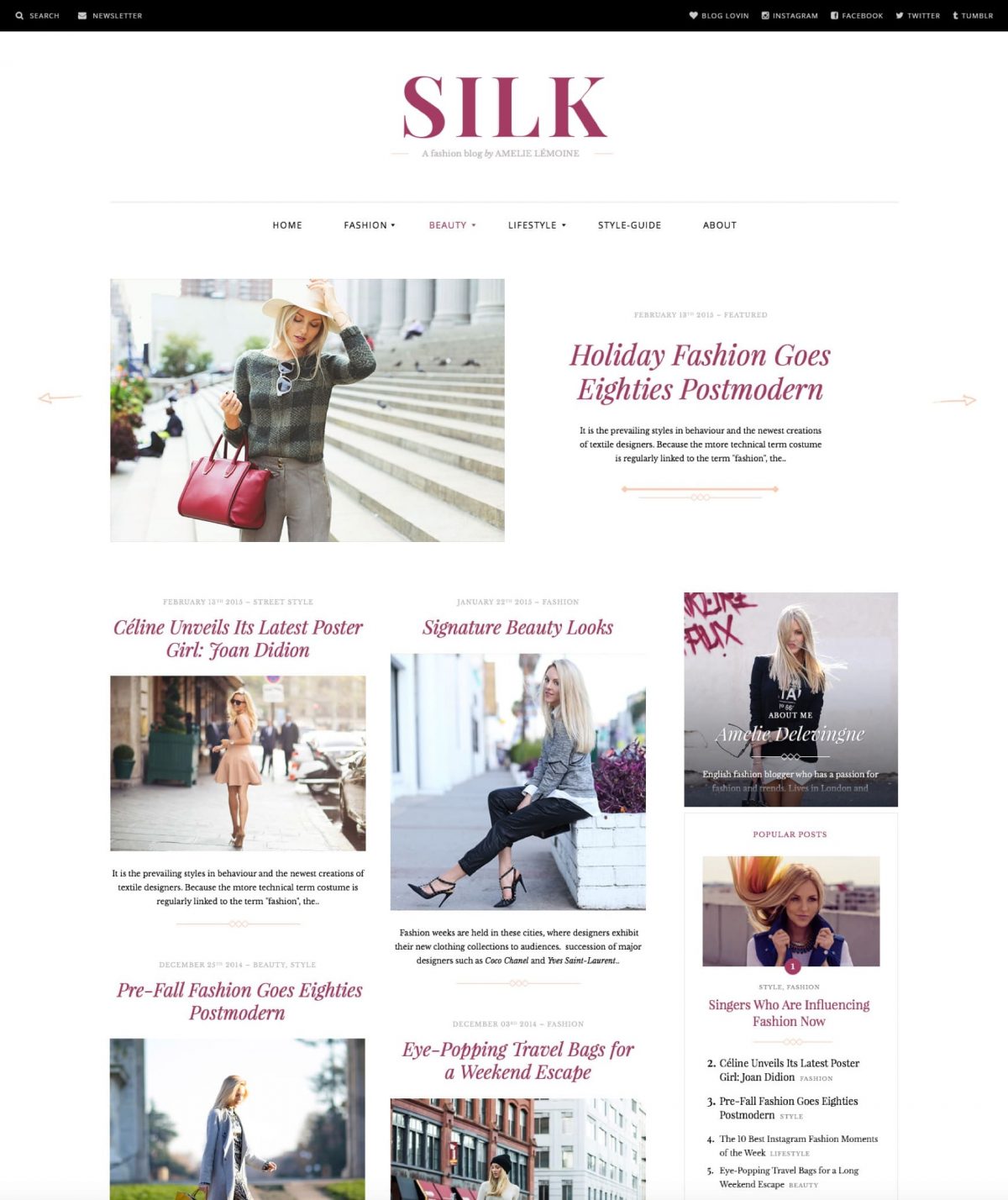 Silk fashion blog WordPress theme Desktop View