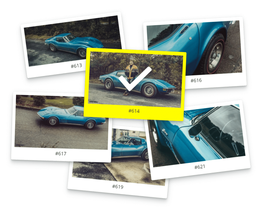 photo proofing plugin built-in this clean photography WordPress theme