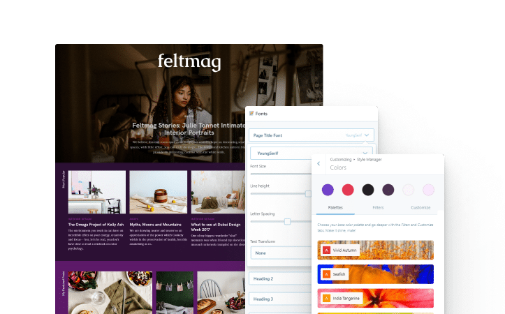 edit this magazine wordpress theme’s colors and fonts with style manager