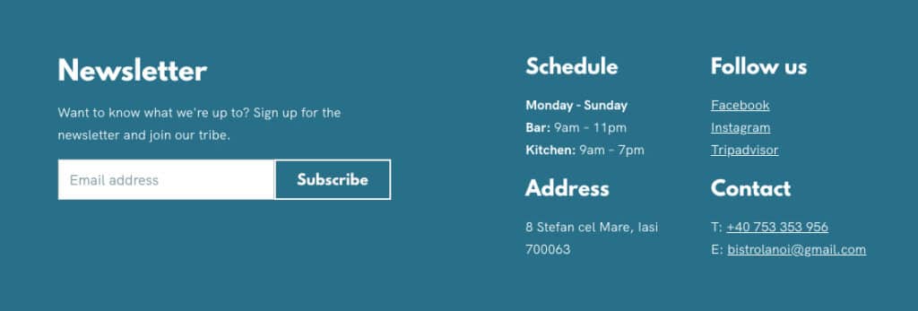 Footer focused on getting newsletter subscribers
