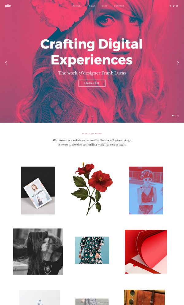 Pile a portfolio WordPress theme